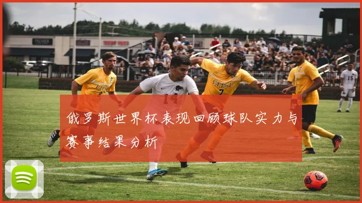 俄罗斯世界杯表现回顾球队实力与赛事结果分析