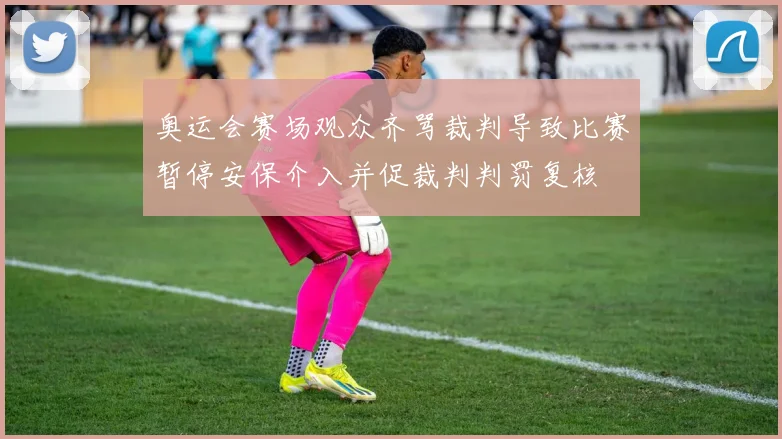 奥运会赛场观众齐骂裁判导致比赛暂停安保介入并促裁判判罚复核