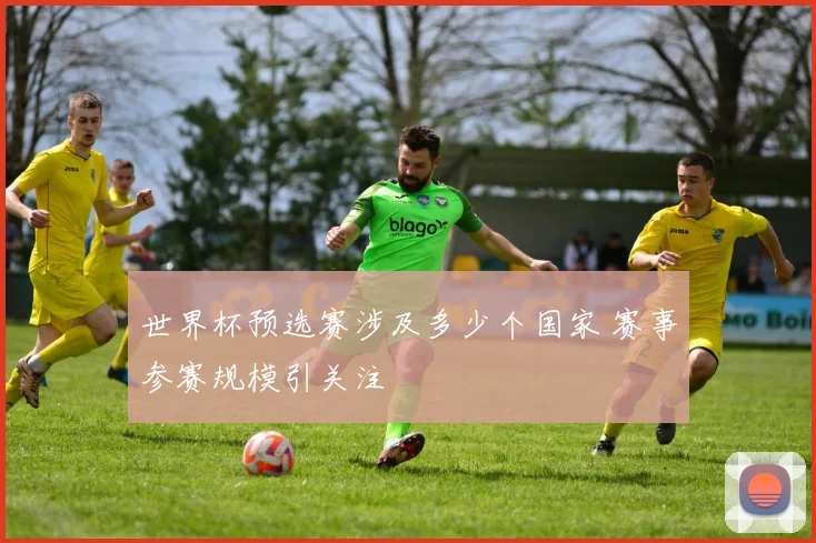世界杯预选赛涉及多少个国家 赛事参赛规模引关注