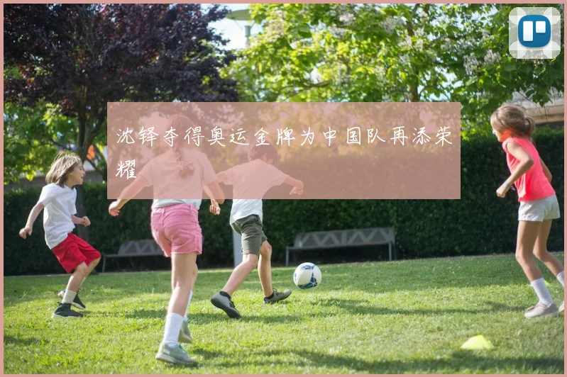 沈铎夺得奥运金牌为中国队再添荣耀