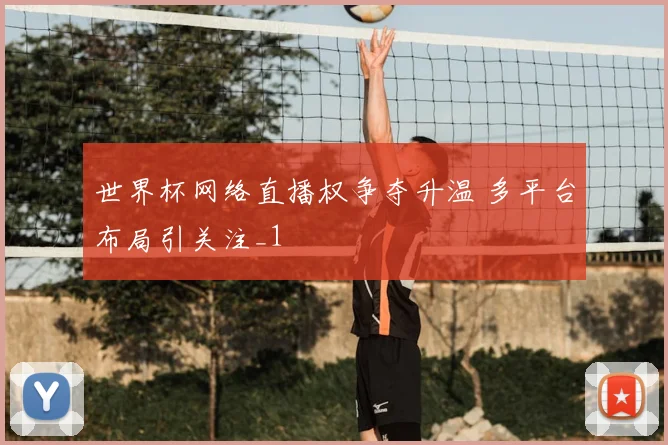 世界杯网络直播权争夺升温 多平台布局引关注_1